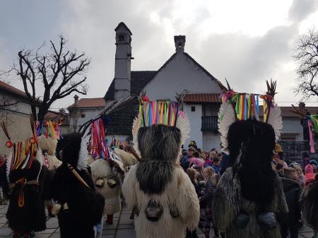 ED JEŽEVKA PTUJ - PUST 2023 (45)